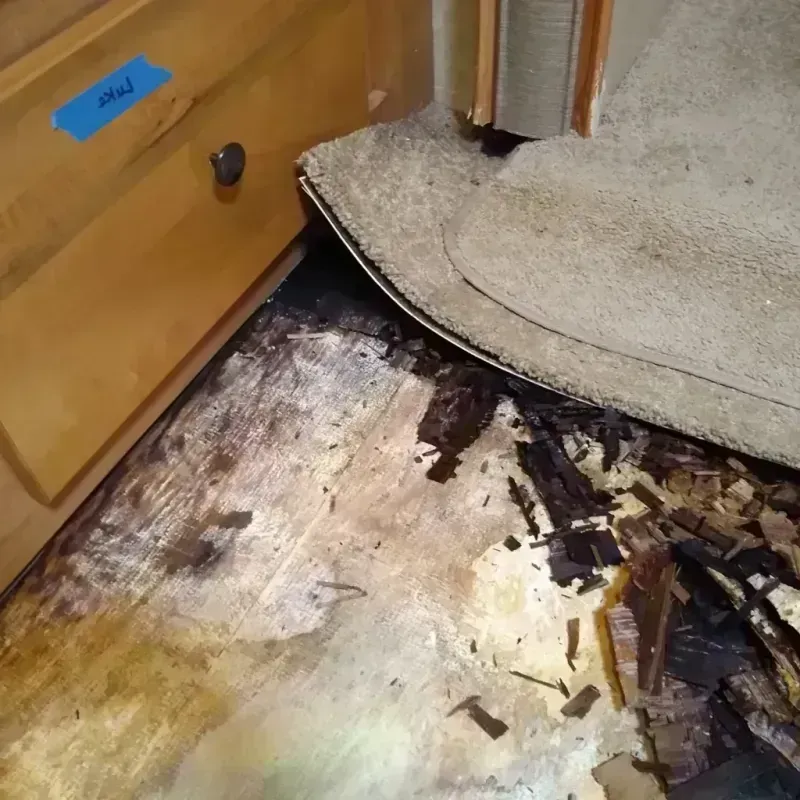 Wood Floor Water Damage in Shell Lake, WI